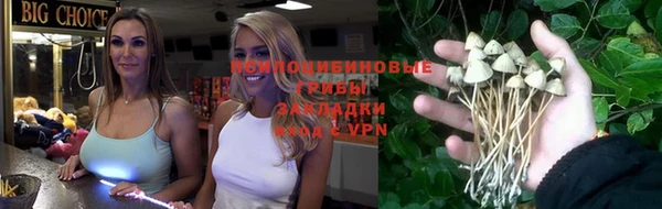 гашик Алзамай