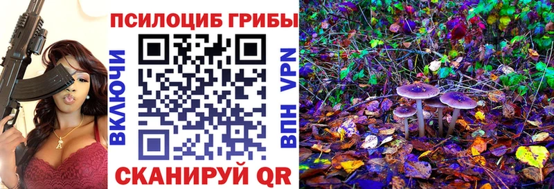 где можно купить Устюжна Галлюциногенные грибы мицелий
